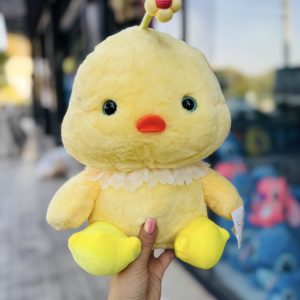 عروسک پولیشی جوجه گل بسر