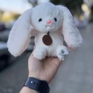 عروسک خرگوش پولیشی Anyagi Peibaru® 🐰🎀